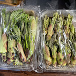 A e B - 針桐とタラの芽