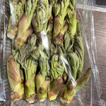 A e B - タラの芽