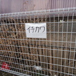 煮干中華ソバ イチカワ - 第二駐車場