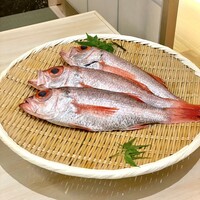 のどぐろ割烹 一心 別邸 - ⑤〈喉黒〉選べる特大のどぐろ・調理法もお客様の指定
                    　塩焼きと煮付けのあい盛り