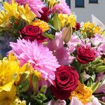 中央亭 - 色とりどりの花たちが、中央亭の新しいスタートを祝福する