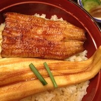入谷鬼子母神門前のだや - 「いとこ丼」鰻と穴子のハーフ＆ハーフ￥1400