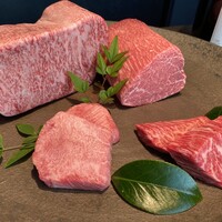 USHIGORO S. SHINJUKU - 