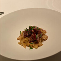 カンテサンス - 