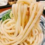 Marugame Seimen - 