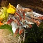 鳥恵 - 真鰯刺身