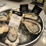 OysterTable - 