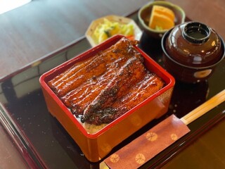 Unagi Matsukawa - 松川名物味噌ダレうな重