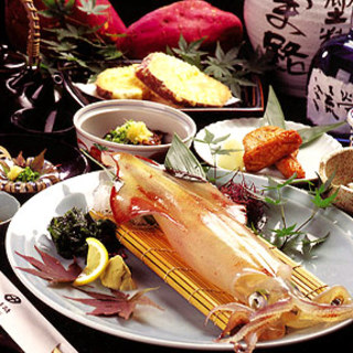 Delicious live horse mackerel, squid, and flounder where freshness is the key!
