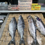 Kitano Gurume - 紅鮭