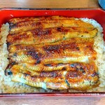 Unagi Irokawa - 鰻重（ふつう）3,600円 ♪