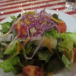 アセナ - サラダ、テンコ盛り