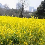 サーラ アマービレ - 浜離宮恩賜庭園
                                
                                