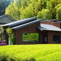 西欧料理 サヴァカ - 