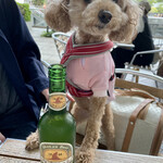 湘南パンケーキ - 湘南ビール