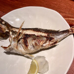 めしの助 - いさき