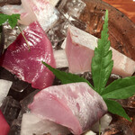 めしの助 - ひげ鯛、ぶり、黒むつ、初がつお