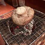 めしの助 - 特大しいたけ(1個)