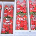 農園 紀の国 - 