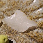 馳走 啐啄一十  - ⑦真子鰈(山口県岩国産、2日寝かせ)
      産卵期は晩秋～春、旬は春～夏
      秋～冬は鮃、春～夏は鰈と旬が入れ替わる時期
      浅蜊を食べている真子鰈なので旨みが深い
      産地と餌を何を食べているかは非常に重要