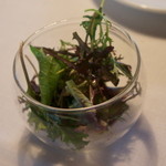 Restaurant Satoshi.F - サラダ