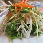 Osuteria jyappusu - サラダ