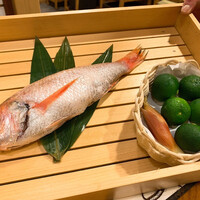 のどぐろ専門 銀座 中俣 - 