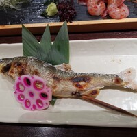 魚心 新宿総本店 - 