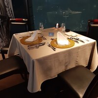 サンシャイン クルーズ・クルーズ - 