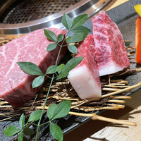 近江うし焼肉 にくTATSU 銀座店 - 