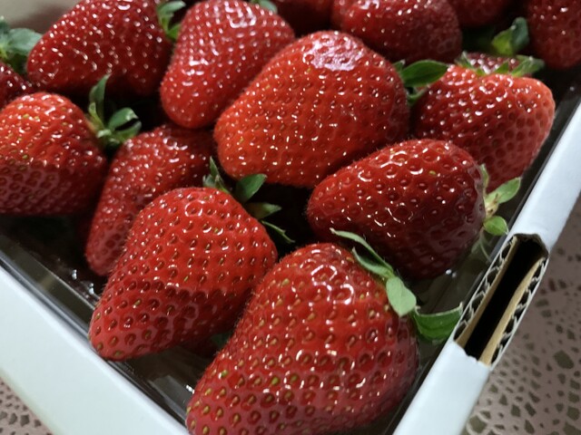 和田観光苺組合 - 相馬（その他）の写真