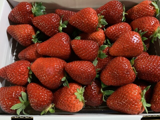 和田観光苺組合 - 相馬（その他）の写真