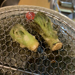 Tempura Kobashi - タラの芽