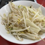 ラーメン もっけだの - 追加ヤサイ