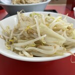 ラーメン もっけだの - 追加ヤサイ
