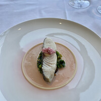 フィリップ・ミル 東京 - 魚料理: 鰆、ムール貝、菜の花、シャンパーニュソース