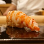 鮨 むらやま - 車海老