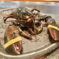 京風鉄板 はせ川 - 