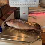 Greenwood Fish Market - 真鯛一匹１万５千円