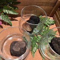 Terres de Truffes, Tokyo - 