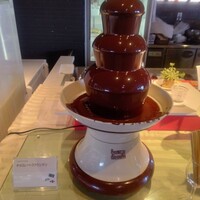 スカイグリルブッフェレストラン空桜 - チョコレートファウンテン【２０２２年４月撮影】