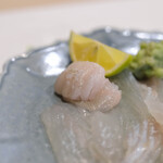 うを徳 - 《豊後（ぶんごのくに）》"黃蓋鰈（しろしたがれひ、=まこがれひ）"、裙邊（えんがは）刺躬（さしみ）