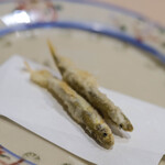 うを徳 - 《江州琵琶湖（あふみのくにびはこ）》"稚年魚（ちあゆ）"、淺（あさ）き火候（ひいれ）