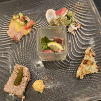 アマルフィイ・モデルナ - 