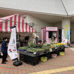 NO NO NO ただのソフトクリーム屋じゃありません - 