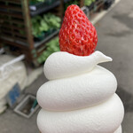 NO NO NO ただのソフトクリーム屋じゃありません - 