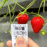 姫路ハートフル観光農園 - 