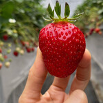 姫路ハートフル観光農園 - 