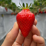 姫路ハートフル観光農園 - 