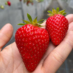 姫路ハートフル観光農園 - 